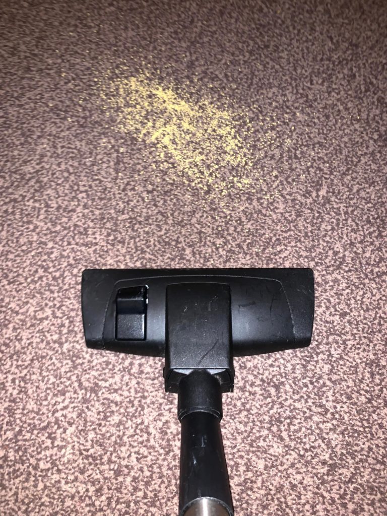 Is Henry Hoover Good? Cous Cous Test Image