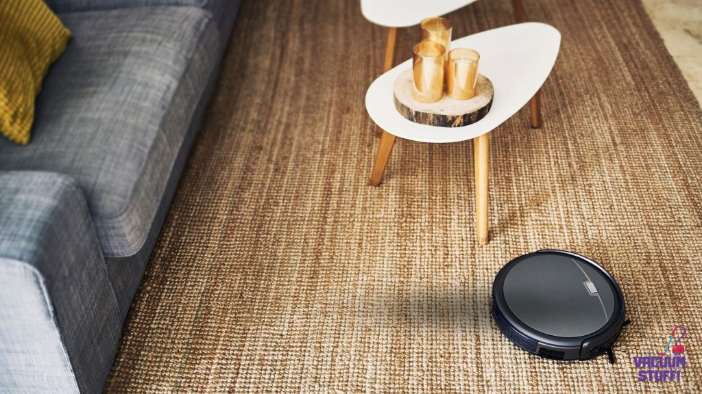 What Robot Vacuums Work With Google Home? - Decorative Image